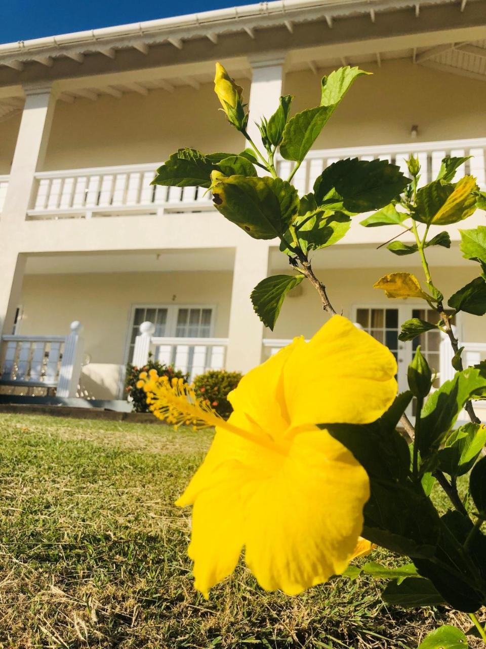 Rosewood Apartment Hotel Arnos Vale Eksteriør billede